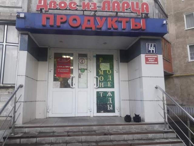 Прикольные надписи и объявления