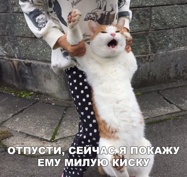 Нестандартный юмор