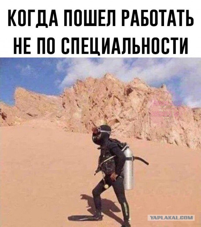 Неадекват - вот наш формат!