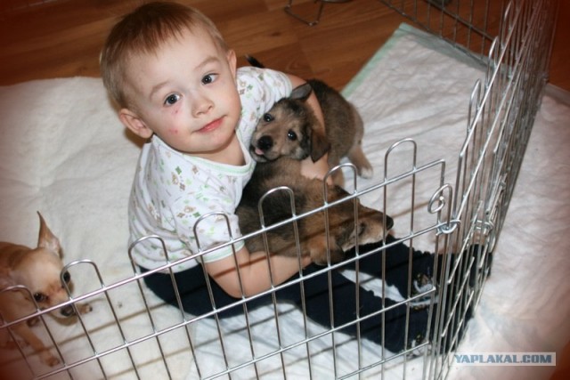 Лучшие друзья навсегда