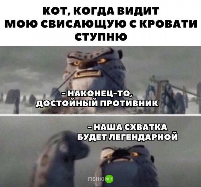 Питон укусил спящую женщину за ногу
