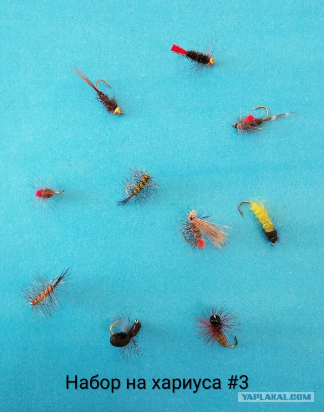 Мушка глухарик на хариуса на енисее. Прогноз на хариуса. Прогноз на хариуса. Прогноз на хариуса. Муха шитик на хариуса.