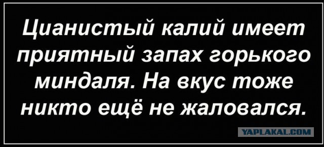 Стремительно наступает воскресная темнота...