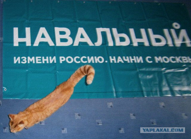 Нормально, Навальный!