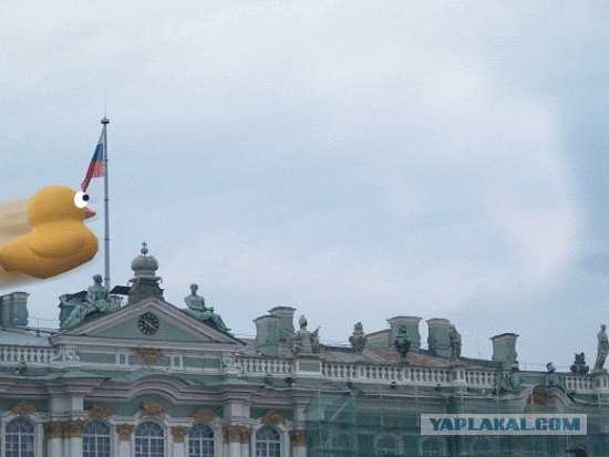 Свинчег парил над Дворцовой