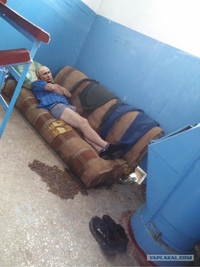 Живет в подъезде, но не кот