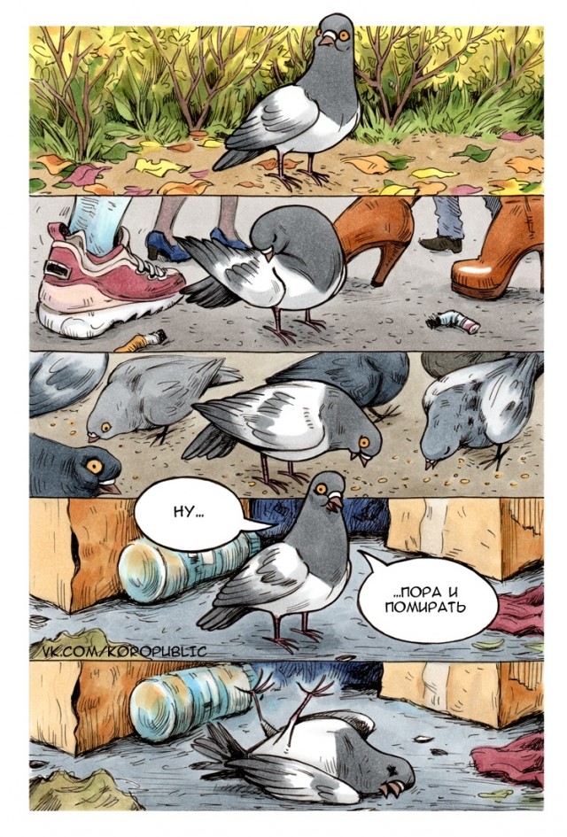 Челябинские голуби против наркотиков. На Южном Урале закрашивают рекламу отравы