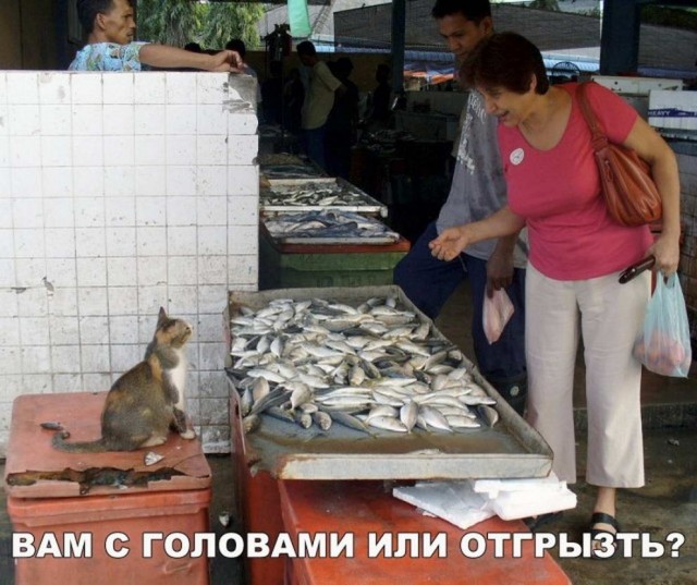 Чуток картинок!