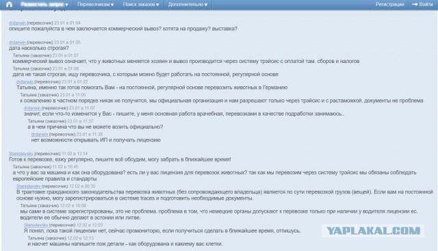 Помогите вернуть кота! Приют "Преданное сердце" украл кота и не отдает!-2