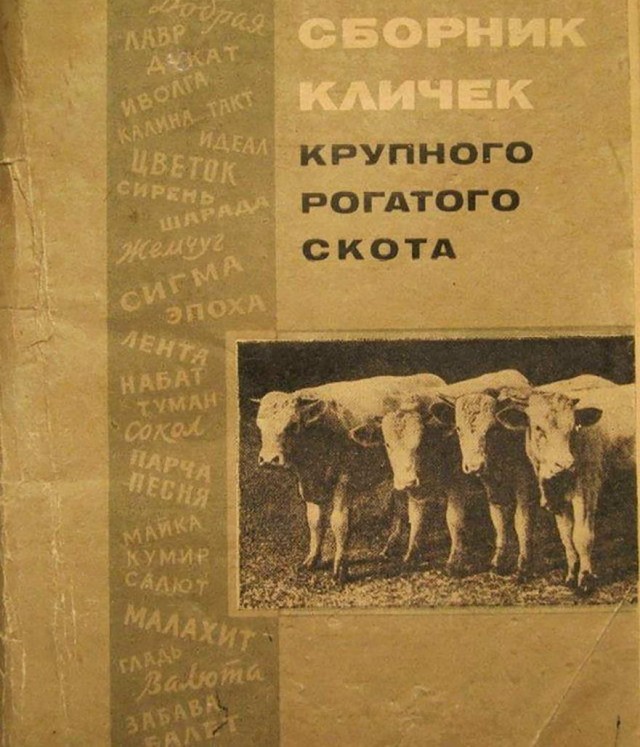 Бредзона 13.01.2020