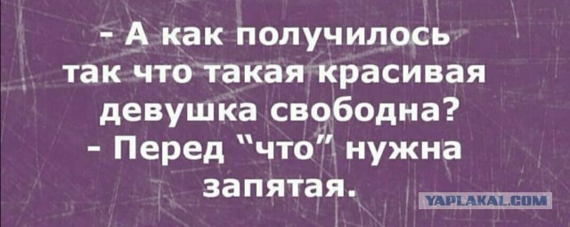 Юмор и прикольные картинки