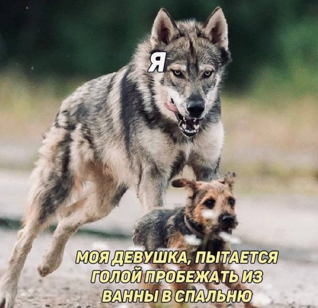 АХТУНГ! все на плановую деградацию!