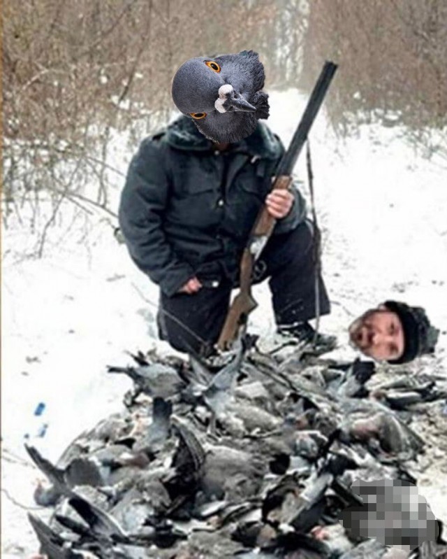 В Туапсе разыскивается мужчина, который убил 250 голубей и выложил фотографию с их трупами в интернет