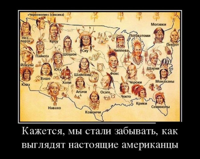 Различные  руководства и инфографики.