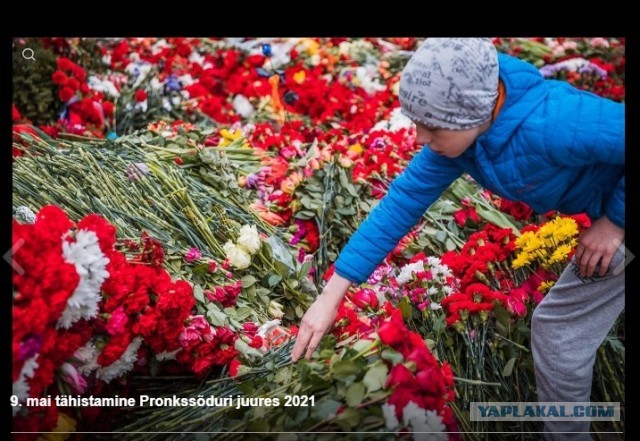 Латвийская молодежь ночью выложила ковер из цветов около памятника освободителям Риги