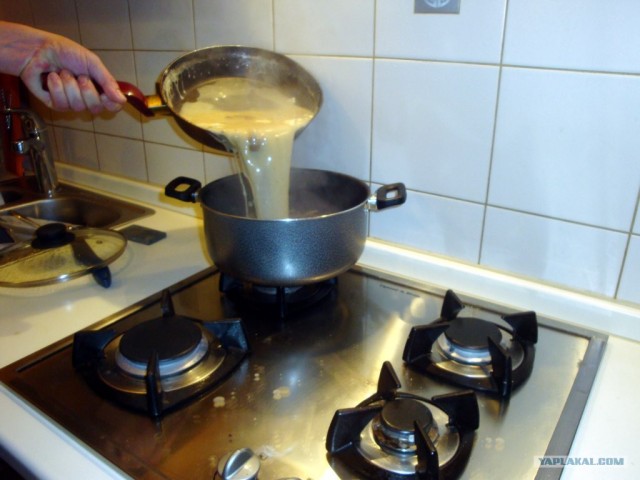 Пионерские почки
