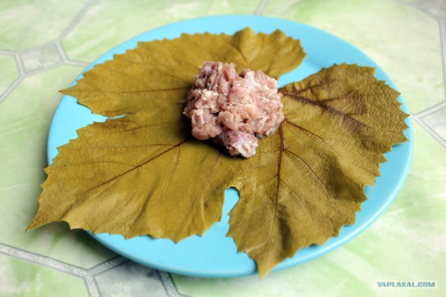 Пловские старания, ... эпическое полотно о Плове...