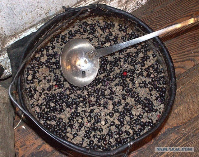 Тайны корякской кухни