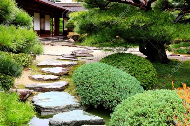 Упоротый Джа-дзен-пост