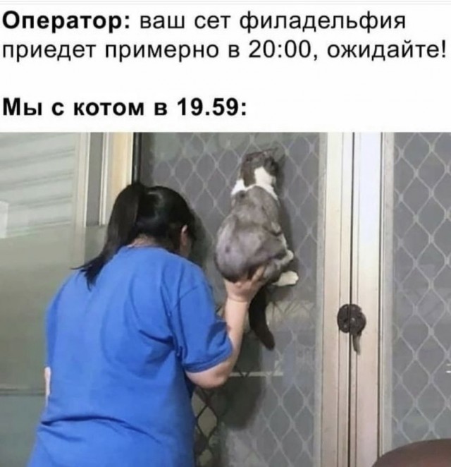 Картинки и мемы для настроения 13.10.2021