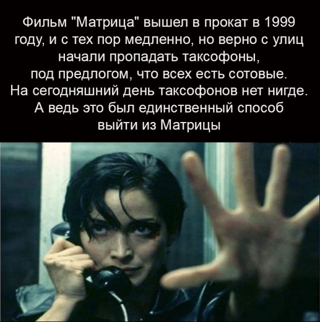 Человек собаке друг и другие картинки под настроение 13.01.2022