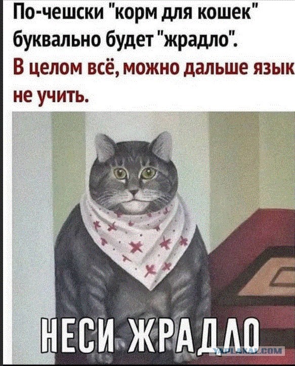 Чешский язык такой интересный