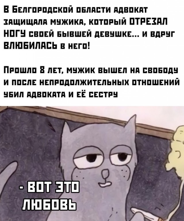 Весёлый полтишок 01.02