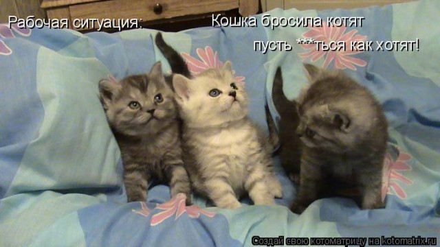 Киргизия и Таджикистан на грани войны. Обе страны зовут на помощь Россию и ОДКБ
