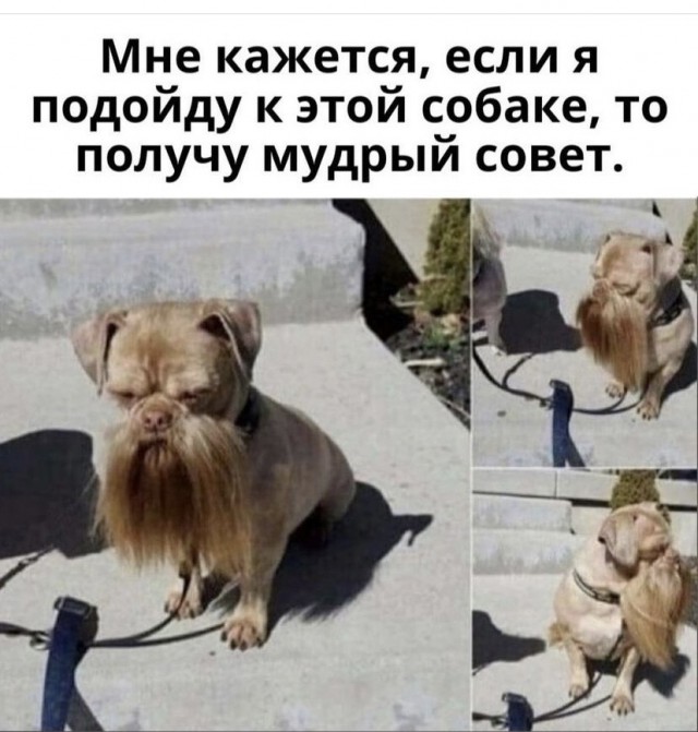 Немного картинок и прочей хреноты Vol. 2