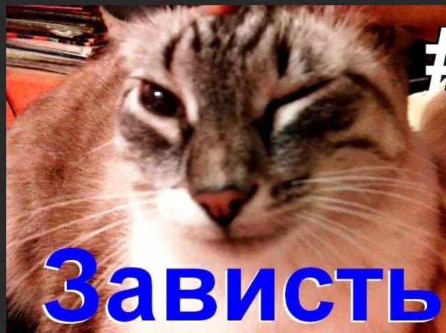 Пандемия. Коронавирус и съехавшие крыши. Россия и мир. Часть 32.