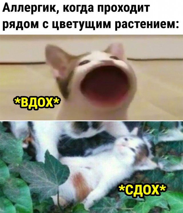 Так себе картинки 24.04.22