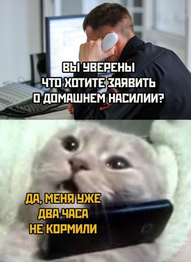 Картинки и мемы, всем хороших выходных