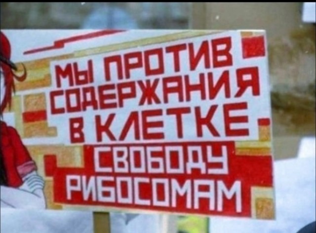 Остров Просветления