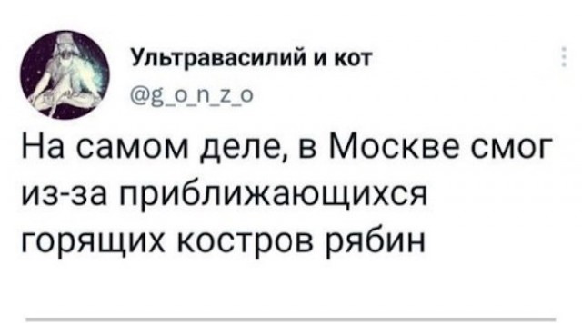 Скриншоты и комментарии из социальных сетей 28.08.22