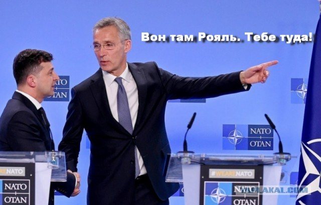 Готовится заявление НАТО и ООН