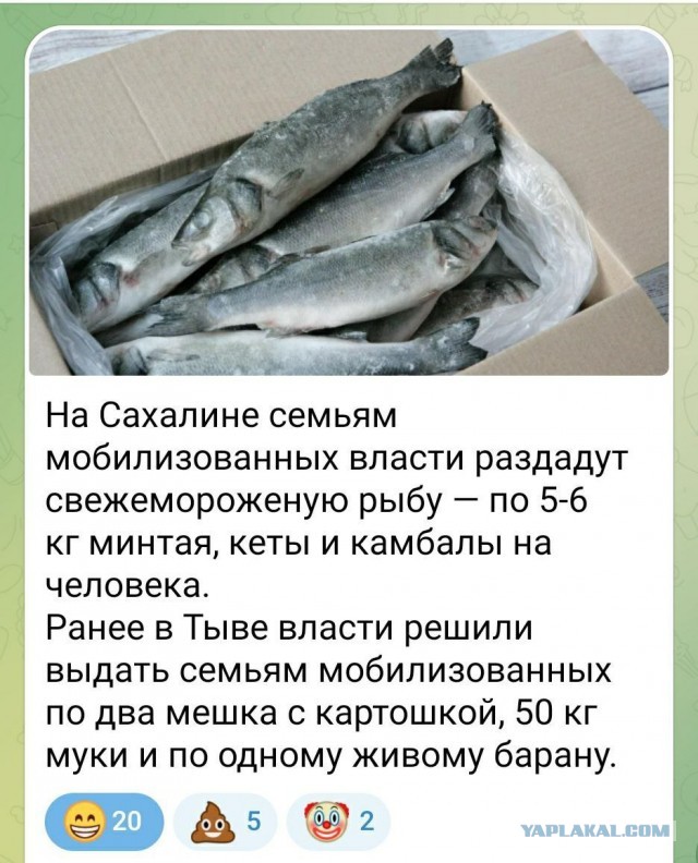 Мобилизованным заплатят 35-40 тыс. в месяц