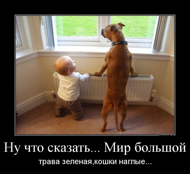Название темы на картинке