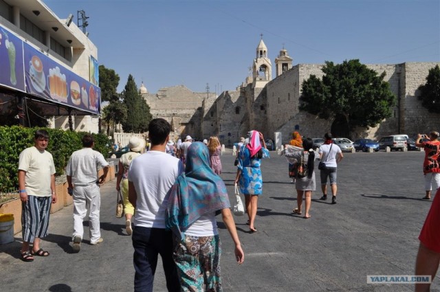 Как я ездил в Египет