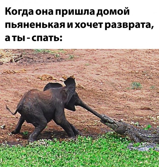 Немного картинок для настроения