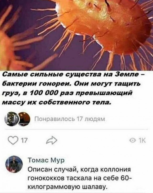 Нуштош 03.03.23