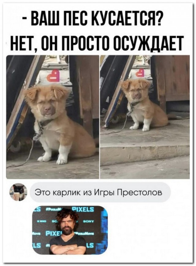 Забавные комментарии из социальных сетей (10.04.23)