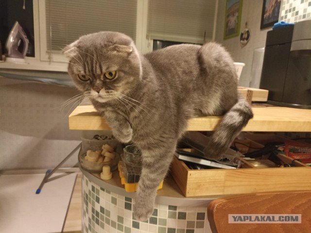 Вот