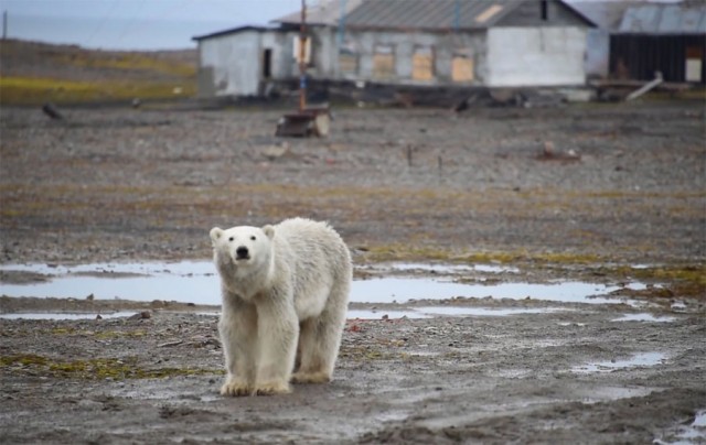 Заложники на Новой Земле. Неизвестный теракт 90-х