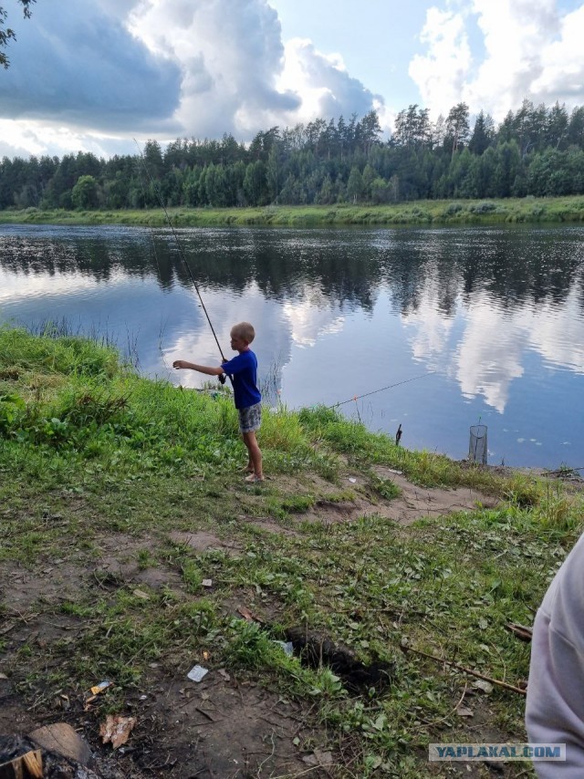 Рыбалка на Мологе