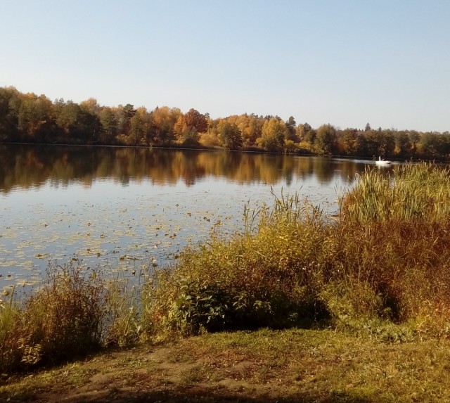 Краски осени