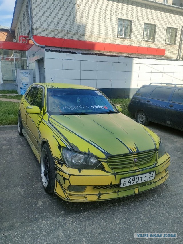 Прикольный окрас