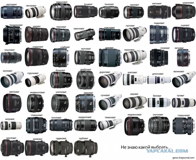 Canon или Nikon?