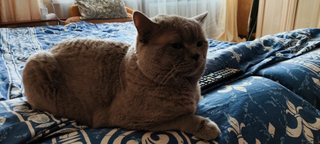 Вернулась с радуги