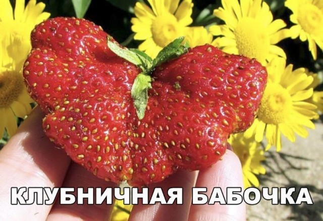 Так себе картинки 07.12.23