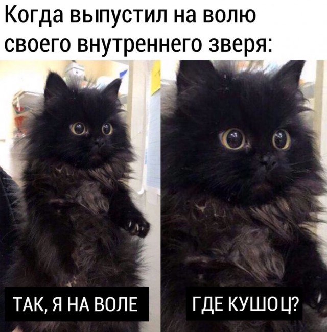 Вопрос: какой глагол вы употребляете - "кушать" или "есть"?